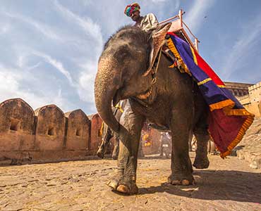 amer fort